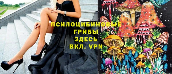 spice Волосово