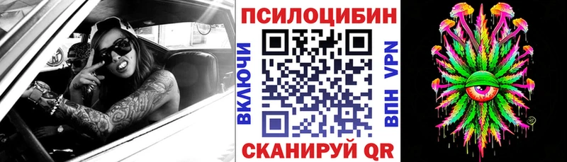 Псилоцибиновые грибы Psilocybe  Галич 