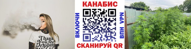дарк нет какой сайт  Галич  Каннабис сатива  купить  